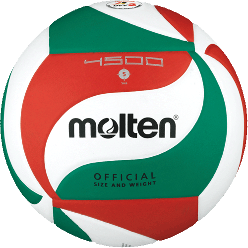 Molten Volleyball V5M4500-DE