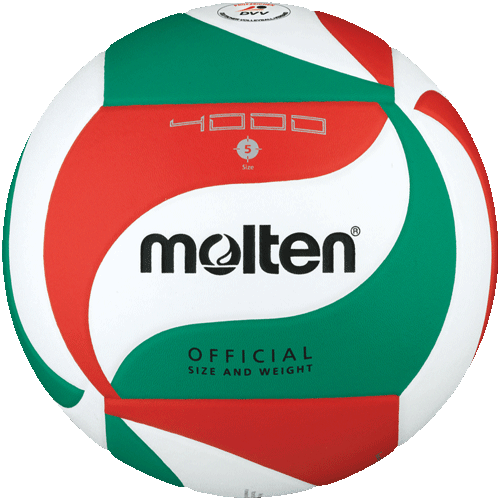 60x Molten Volleyball V5M4000-DE & 1x Ballco Ballsack BS60